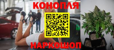 гашик Уссурийск