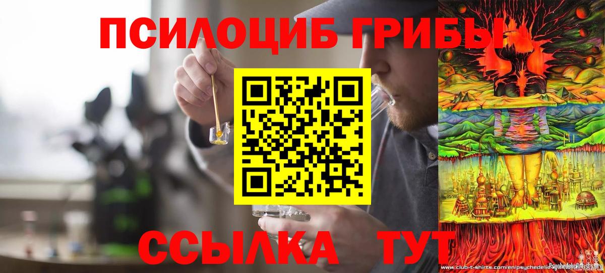 Псилоцибиновые грибы Psilocybe  Галлюциногенные грибы Psilocybe  как найти   Рославль  Вход с VPN 
