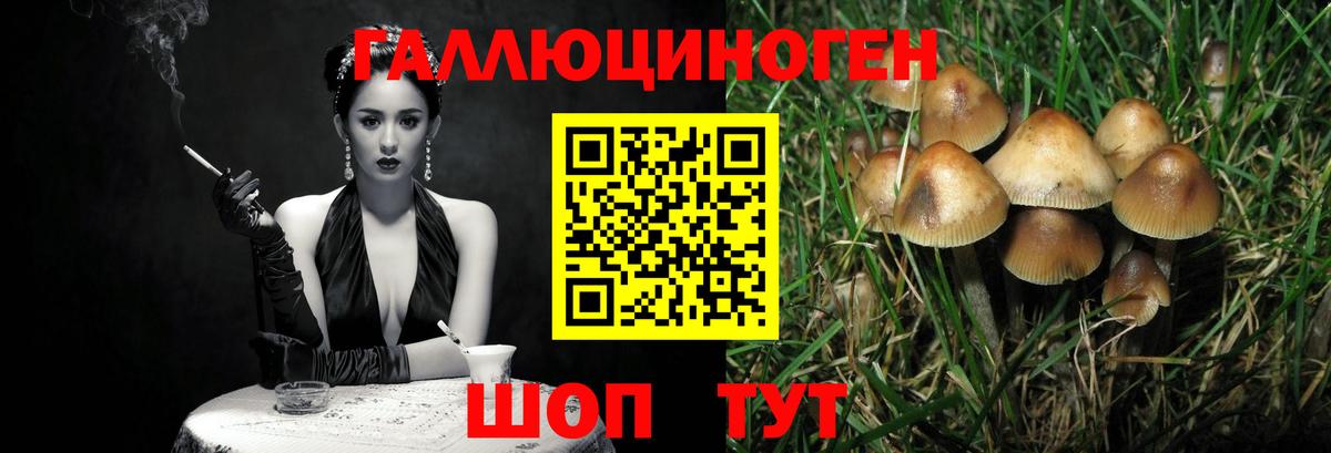 ГАШИШ  ГАШИШ  Лсд 25  COCAIN  Меф МЯУ МЯУ кристаллы  Рославль  Каннабис  Вход с VPN 